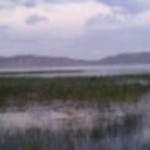 Meet your Posher, Sieglinde